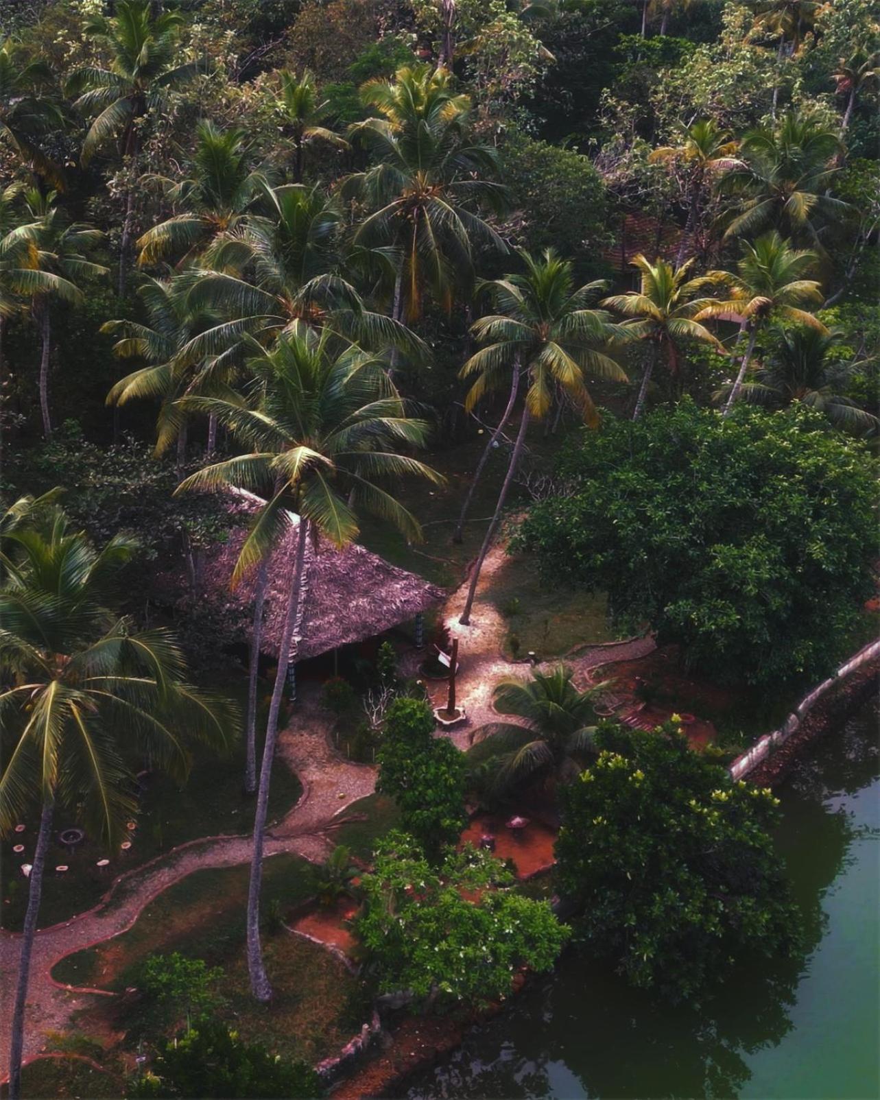 Vishram Village Варкала Экстерьер фото